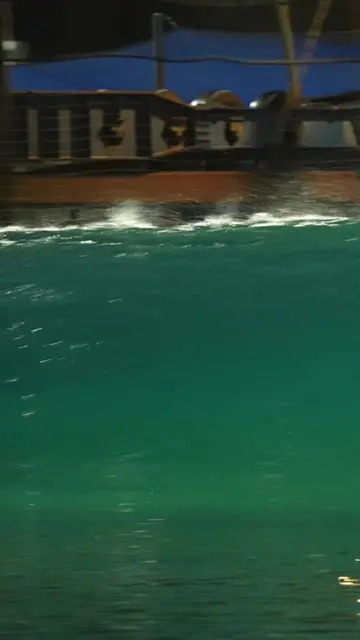 Late takeoff to pocket ride surfing technique - TikTok