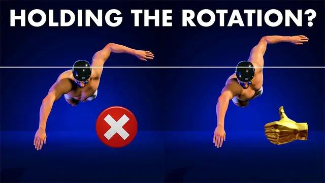 The Most Important Body Part In Swimming
