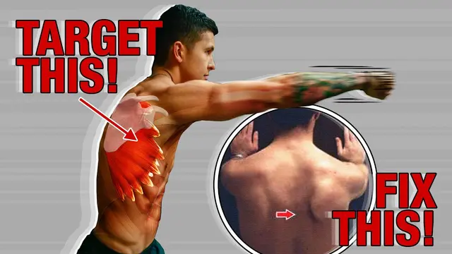 How To “Sculpt” Your Serratus Anterior (STOP Neglecting This Muscle!)