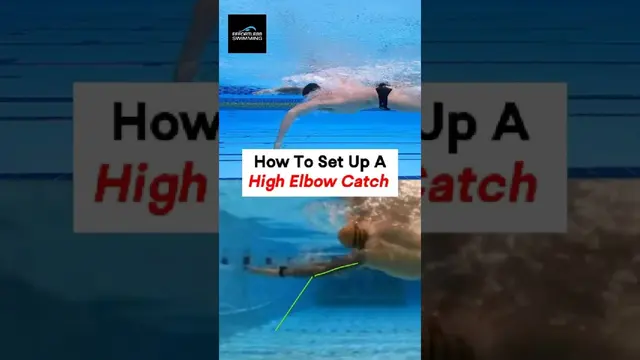 High Elbow Catch #swimtechnique #swimming