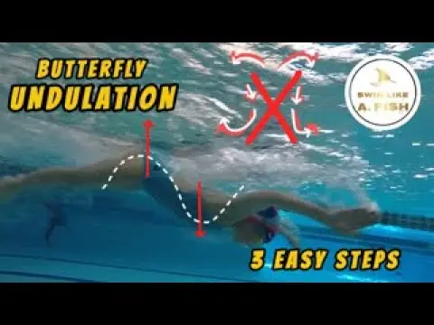 Butterfly Undulation: 3 Easy Steps
