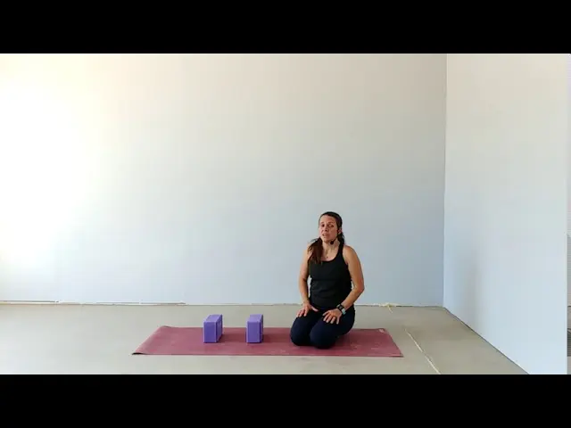 Chaturanga Dandasana with 2 blocks