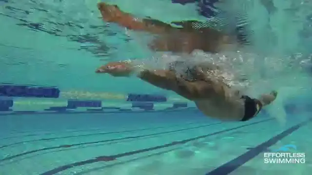 How And Where To Start Your Catch In Freestyle