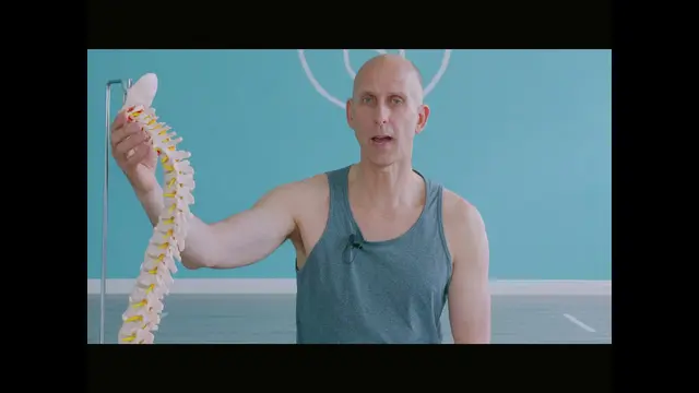Yoga Anatomy #13 - (Shoulderstand - All necks are not created equal)