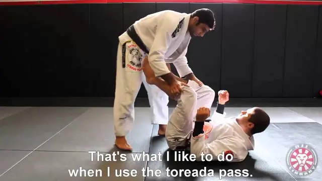Leandro Lo - Toreando Pass from BJJ Library Seminar