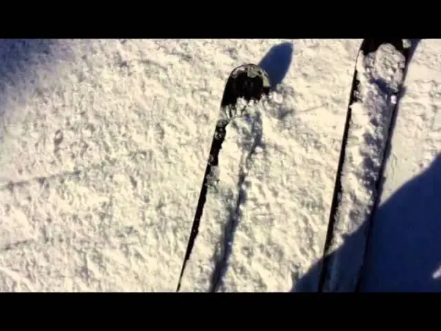 Hockey stop