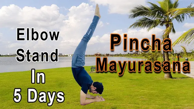 How to do an elbow stand in 5 days | forearm stand | Pinchamayurasana kaise kare ? kautilya verma