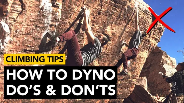 How to Dyno: 1 Year Dyno Comparison