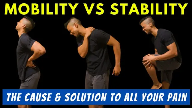 Mobility Vs Stability : Learn This To Stay Injury Free and Improve Your Overall Functionality.