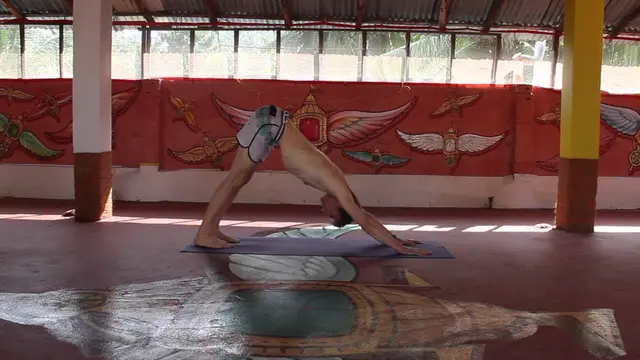 Asana Kitchen: Downward Facing Dog (Adho Mukha Svanasana)
