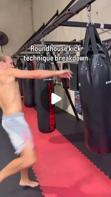 Roundhouse kick