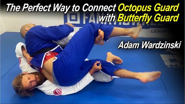 The Perfect Way to Connect Octopus Guard with Butterfly Guard with Adam Wardzinski