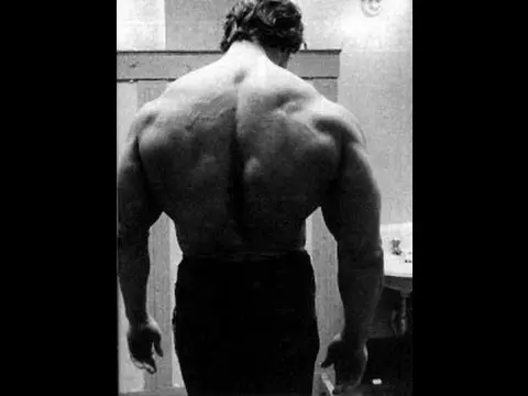 Back Exercises: Barbell Row Proper Technique