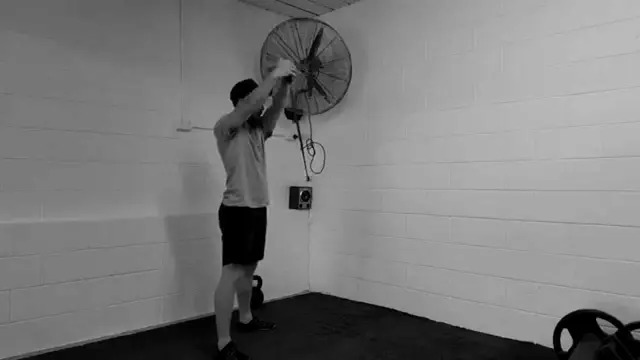Extreme Six Pack Abs Workout - Pallof Press Variations