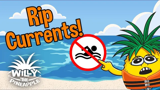 What is a Rip Current? Willy's Guide to Rip Currents: How to spot them and how to escape them!