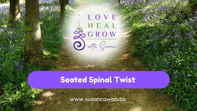 Yoga With Susan - Seated Spinal Twist