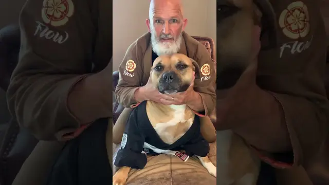 Rear Naked Choke w/ Wrigley The Bulldawg, Brazilian Jiu Jitsu, BJJ