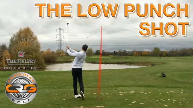 HOW TO HIT THE LOW PUNCH SHOT