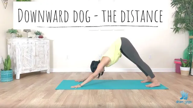 Downward-Facing Dog Alignment