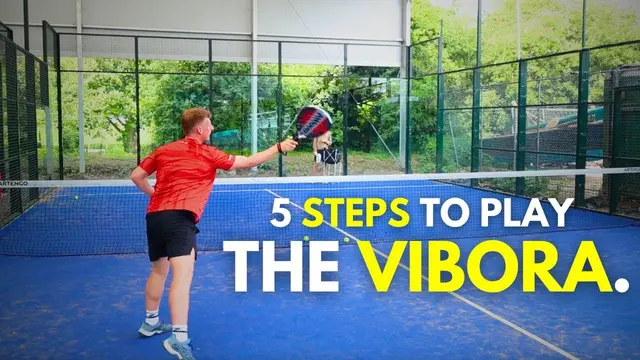 How to Play The Vibora | Learn In 10 Minutes
