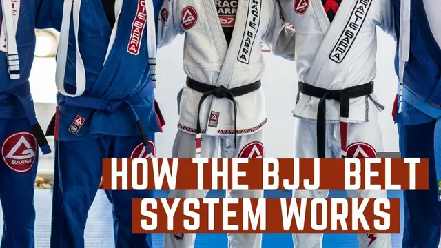 How Many Belts Are in Jiu-Jitsu? #BJJBasics