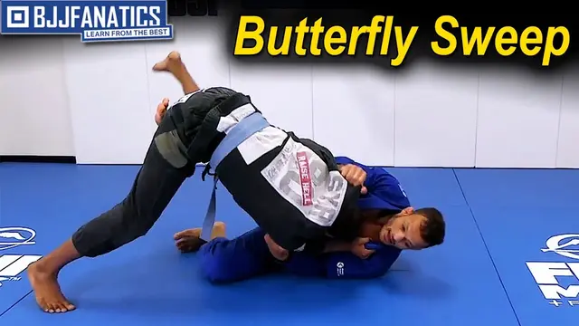 Butterfly Sweep by Marcos Tinoco