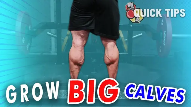 The BEST Practices For Calf Training
