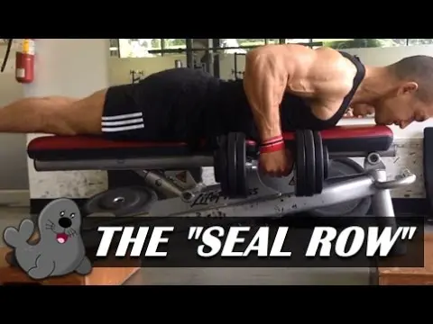 The "Seal Row": A Unique Exercise For A Bigger Back