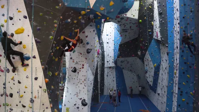 AAC Universal Belay Standard: Lead Belaying