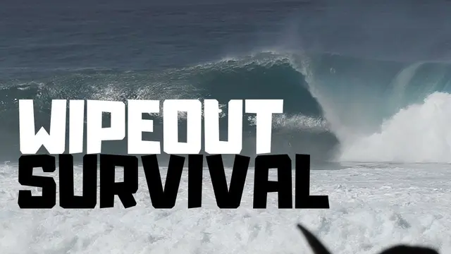 The Beginner Surfers Wipeout Survival Guide