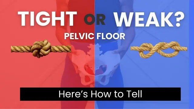 How to Tell if Your Pelvic Floor Is Weak or Tight (and Why It Matters)