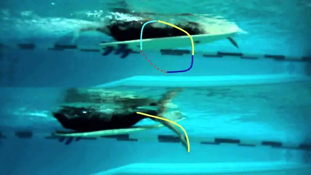 Surfing Paddling Technique - two different types of strokes to use when paddling a surfboard