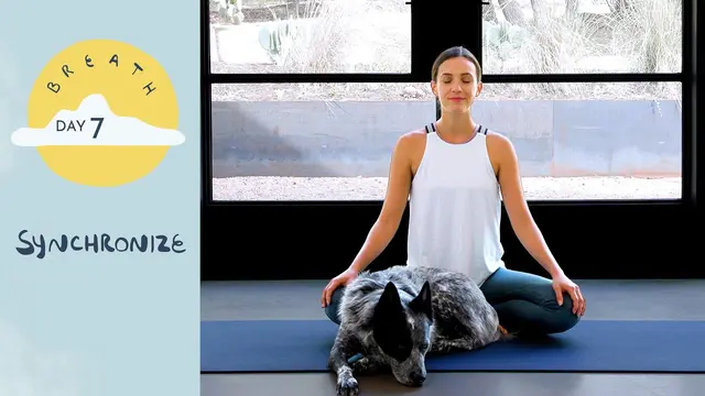 Day 7 - Synchronize | BREATH - A 30 Day Yoga Journey
