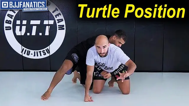 Turtle Position by Nicolas Renier