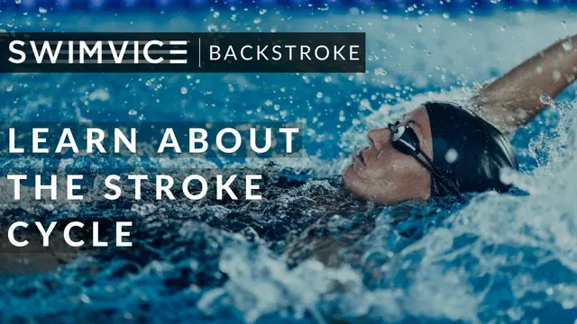 All About The Stroke Cycle of Backstroke
