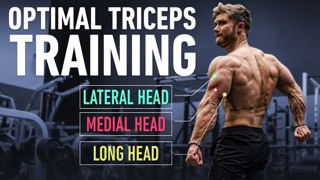 How To Build Huge Triceps with Optimal Training Technique