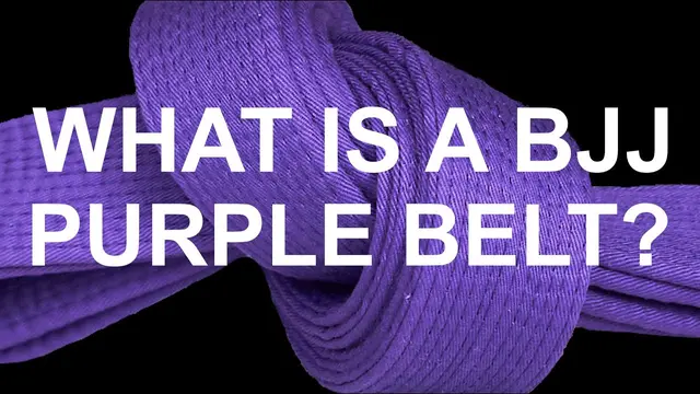 What is a BJJ Purple Belt?