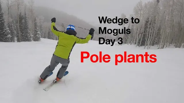 How to Pole Plant, Wedge to Moguls day 3, Video #2