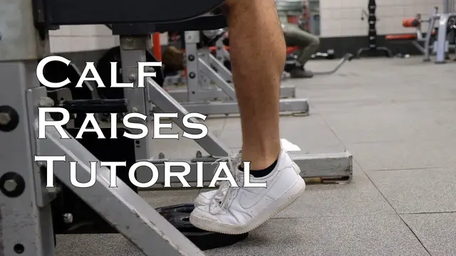How to do Calf Raises | Mohammad Mugharbil