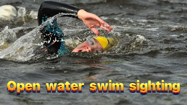 Open water swim sighting