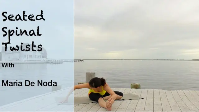 Rainy Day Yoga - Seated Spinal Twists