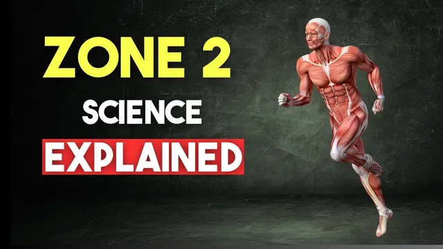 Zone 2 Running: The Surprising Benefits of Low Heart Rate Training