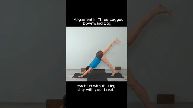Alignment in Three-Legged Downward Dog