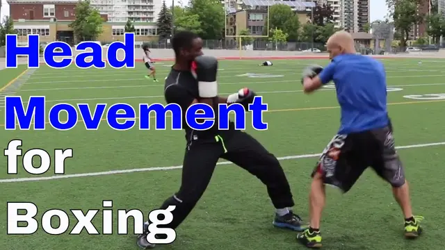 Head Movement for Boxing