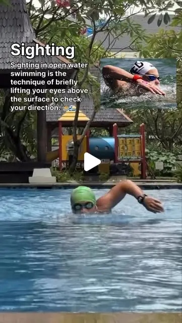 Sighting 🏊♂️🌊 Sighting in open water swimming is the ...