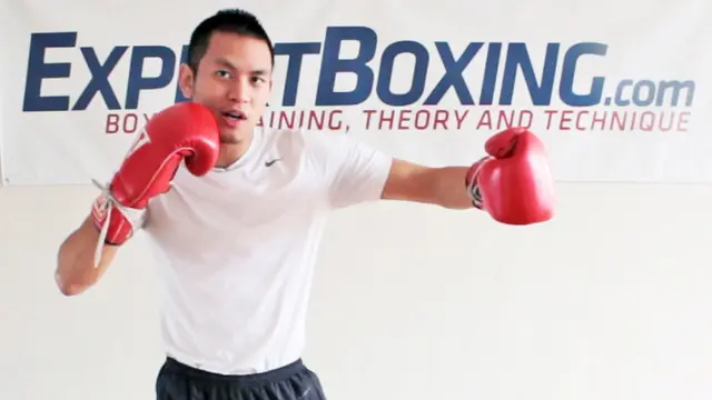 Basic Punch Combo (1-2-3-2)