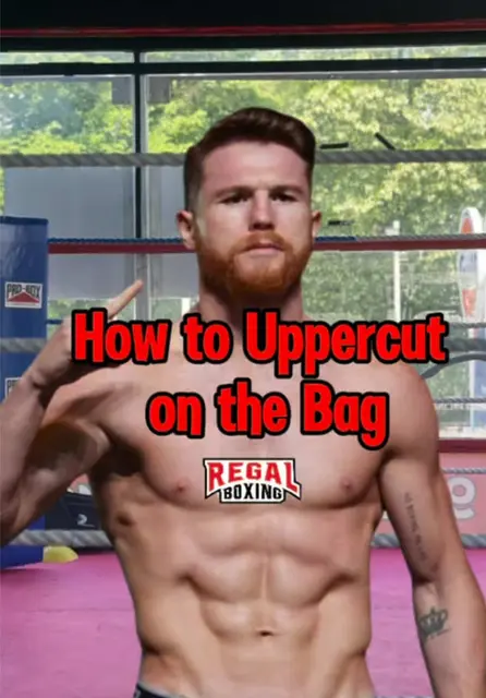 Mastering the Uppercut Technique at Regal Boxing | TikTok