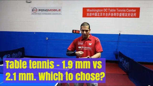 Table tennis Rubbers. 1 9 vs 2 1 which to chose?