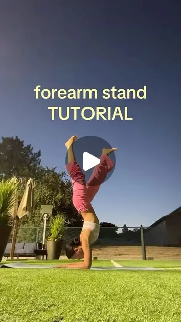 Forearm stand (Pincha Mayurasana)