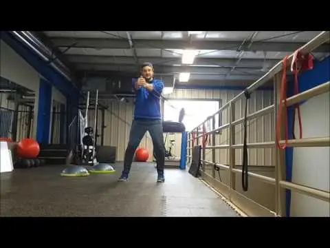 Pallof Press with Plate Perturbations